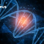 Tempus