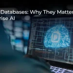 Vector Databases